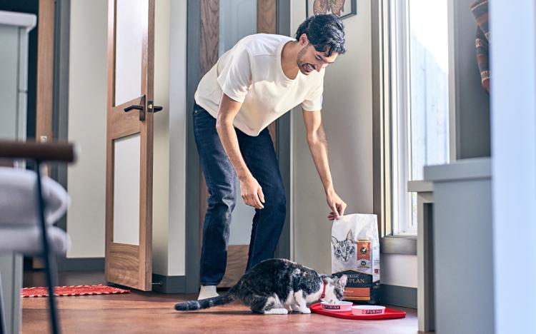 Person preparing a meal for a cat beside a bag of pet food in a home setting.