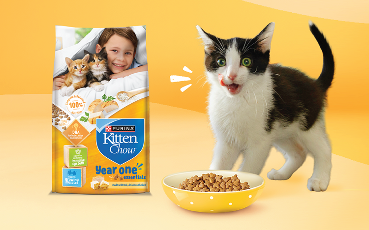 black and white kitten licking its lips in front of a bowl of Purina Kitten Chow