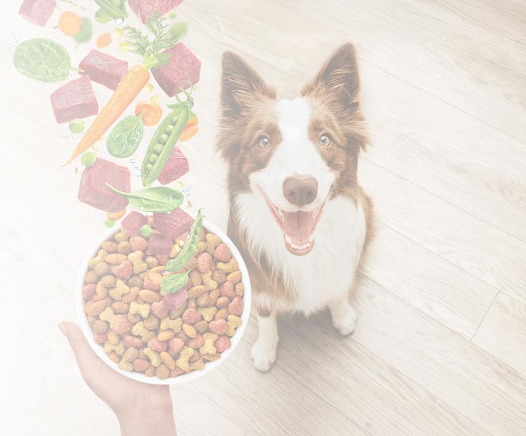 beneful dog