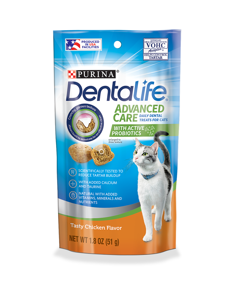 Cat Dental Care – How to Look After Your Cat’s Teeth | Purina US