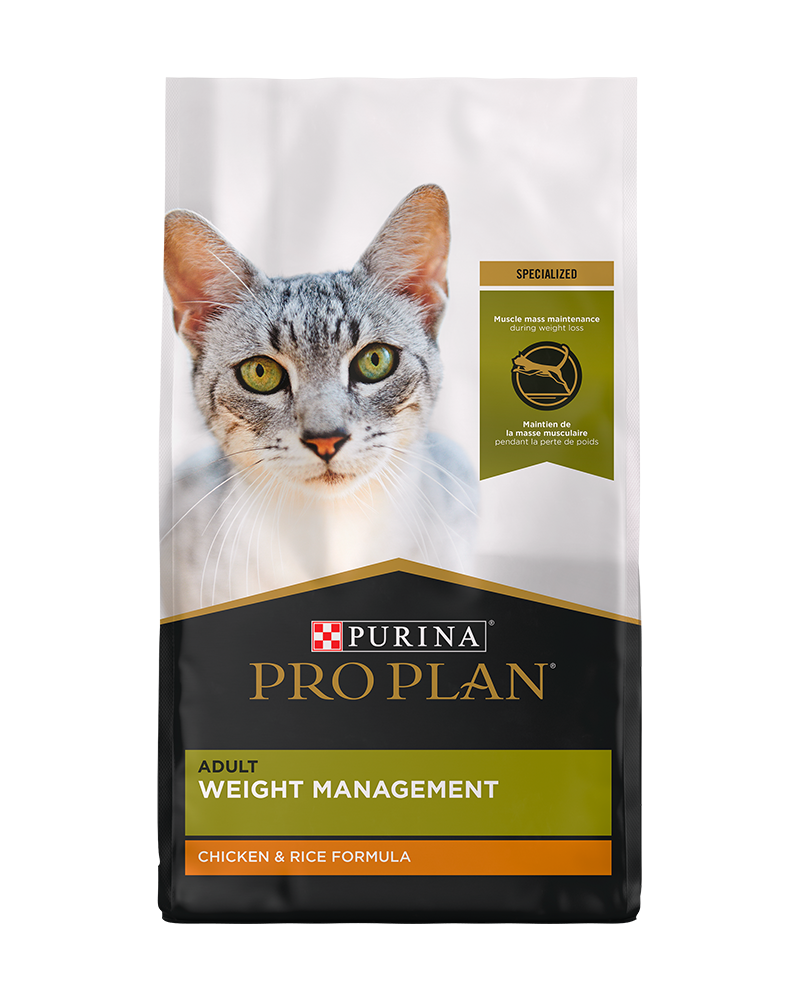 Weight Less Cat Heat Stroke in Cats - Symptoms & Treatments | Purina
