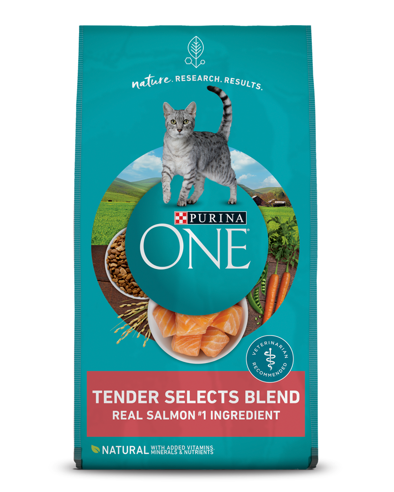 Free Feeding vs. Schedule Feeding Cats Purina US