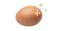 egg