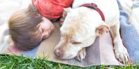 Un niño durmiendo con un perro