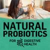 natural probiotics for digestive health