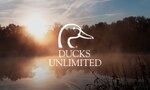 Ducks Unlimited Logo