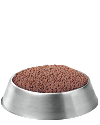 pro plan focus grain free puppy turkey classic bowl