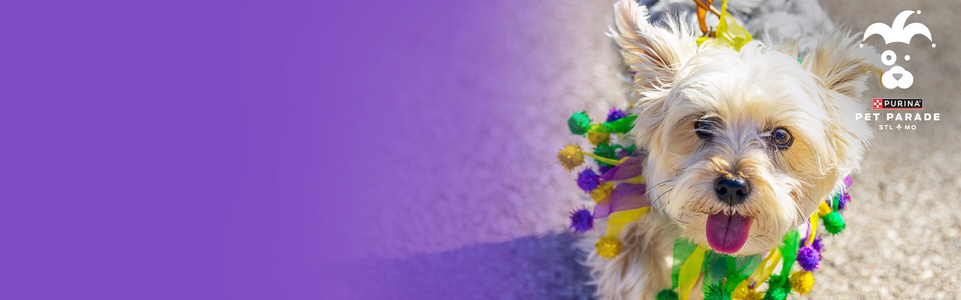 Pet Parade Purina