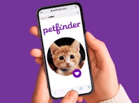 Petfinder App Banner