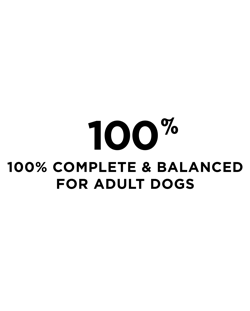 Complete-and-balanced-adult-dogs