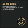 amino acids nourish muscles, including the crucial time after exercise
