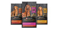 A group of bags of Pro Plan dog food