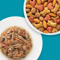 wet and dry foods