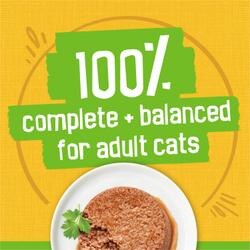 100% complete and balanced for adult cats