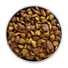 po dog dry smbrdadlt prodop bsc