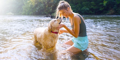 woman and golden retriever playing in a body of water