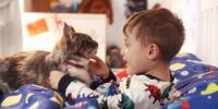 A boy plays with a cat