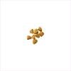 Dry Dog Food