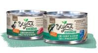Beyond grain free wet cat food recipes