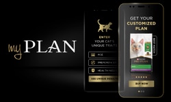 My Plan Get your Customized Plan