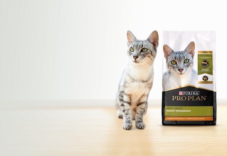 Weight Management Cat Food