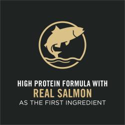 high protein formula with real salmon as the first ingredient