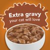 Con salsa extra que a tu gato le encantará