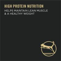 high protein nutrition