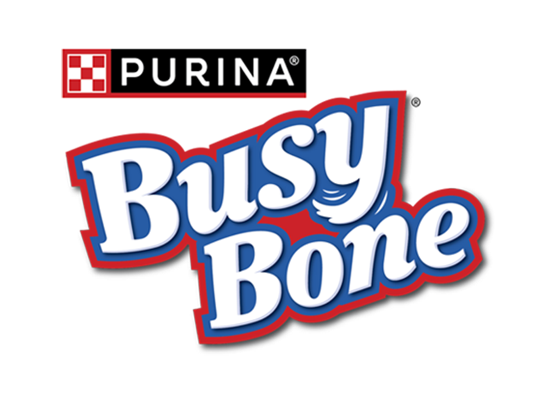 Busy bone frequently asked questions purina