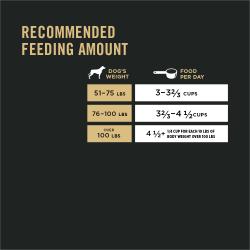 Cantidad de alimento recomendada