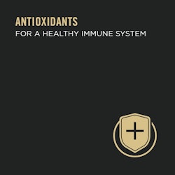 Antioxidantes que promueven un sistema inmunitario saludable