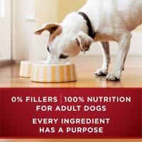 0% Fillers, 100# Nutrition for adult dogs. Every ingredient has a purpose