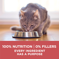 one hundred percent nutrition, zero percent fillers