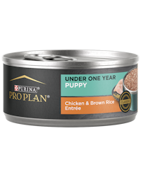 Purina Pro Plan Development Puppy Chicken & Brown Rice Entrée Classic Wet Dog Food