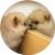 purina puppy chow dha