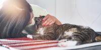 A woman face to face with her cat, petting its head.