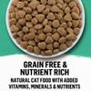 grain free & nutrient rich
