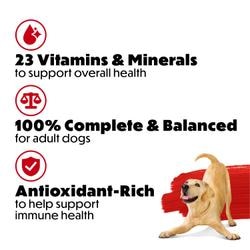 Antioxidant  rich recipes