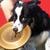 Freestyle Flying Disc Champion