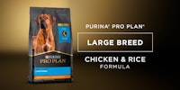 Pro Plan Adult Large Breed Chicken & Rice Formula