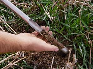 ¿Qué es la agricultura regenerativa? 