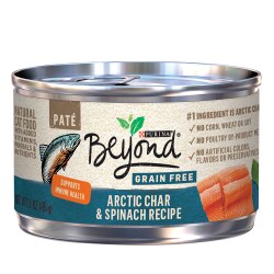 Beyond Grain Free Arctic Char & Spinach Recipe Paté Wet Cat Food