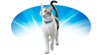 DentaLife Treats Cat