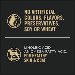 No Artifical Colors, Flavors, Preservatives, Soy Or Wheat
