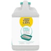 Tidy Cats Clumping Free and Clear jug right view