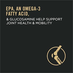 epa, un ácido graso omega 3
