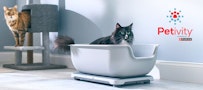 Petivity litter monitor - cat in litter box