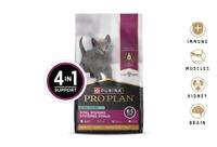 Vital Systems Kitten Dry