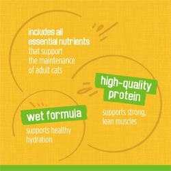 includes all essential nutrients that support the maintenance of adult cats