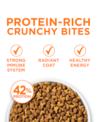 Protein rich crunchy bits. Strong immune system, radiant coat, healthy energy, 42% protein